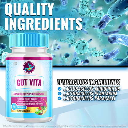 (3 Pack) Gut Vita, Gut Vita Digestion & Gut Health Probiotic (180 Capsules)