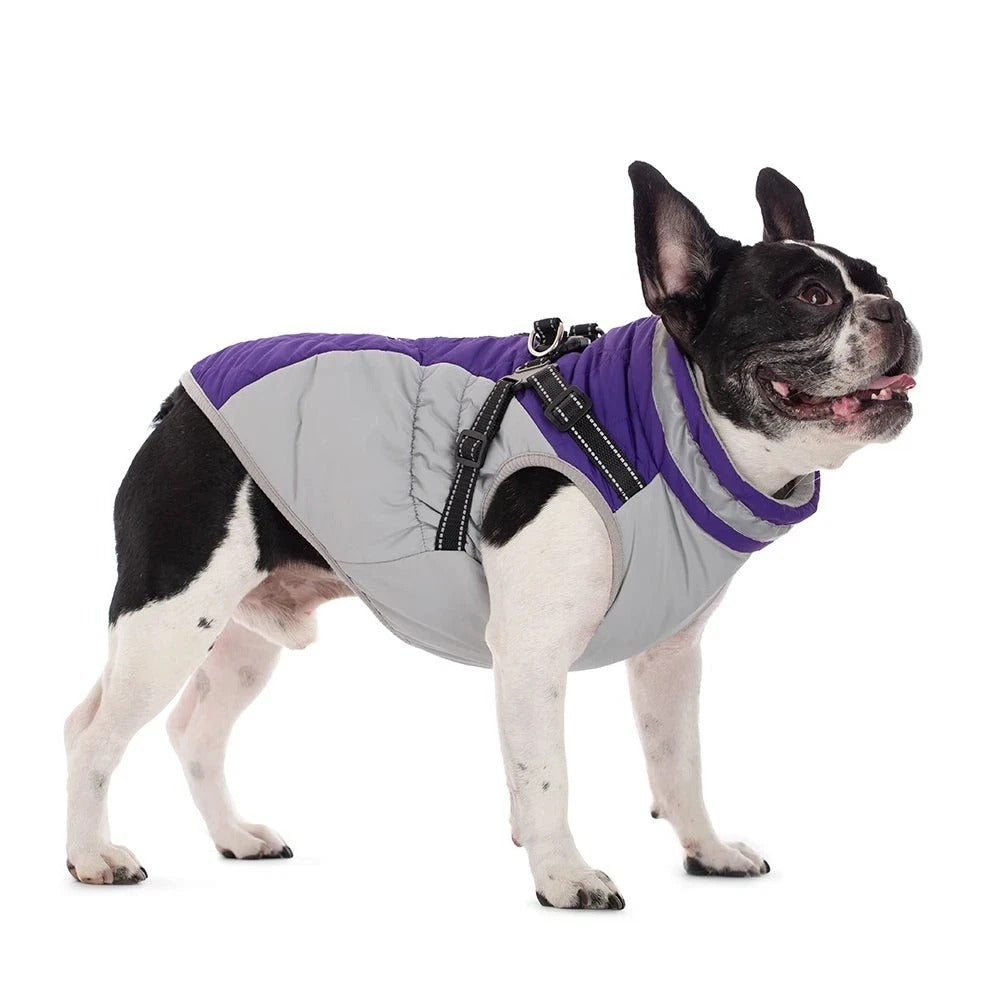 Waterproof Pet Jacket with Harness Winter Warm Coat for Small to Large Dogs