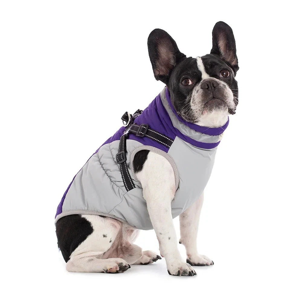 Waterproof Pet Jacket with Harness Winter Warm Coat for Small to Large Dogs